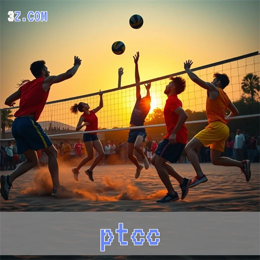 ptcc Apostas esportivas